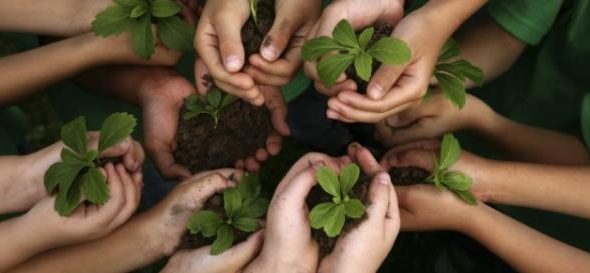 Educazione alla cittadinanza: “Mi attiverò per sostenere la proposta in Parlamento”